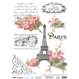 copy of 
